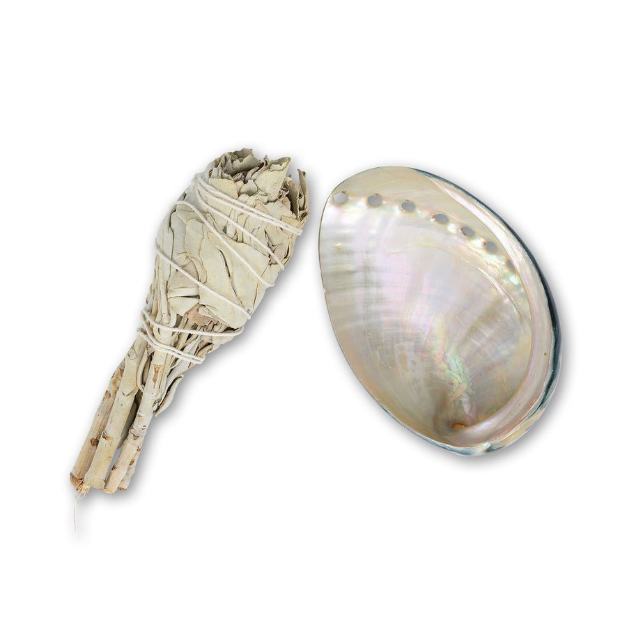 Abalone Shell Sage Stick | Shop | Agerich